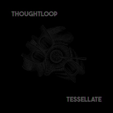 Tessellate | Boomplay Music