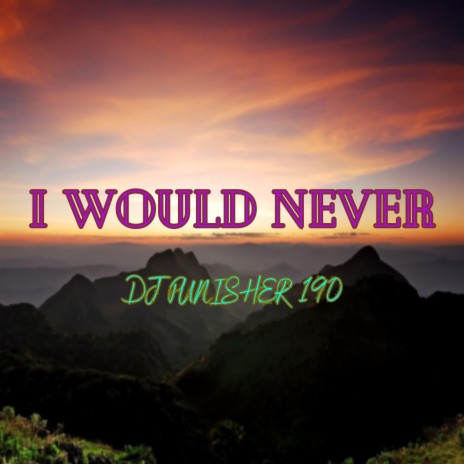 I Would Never | Boomplay Music