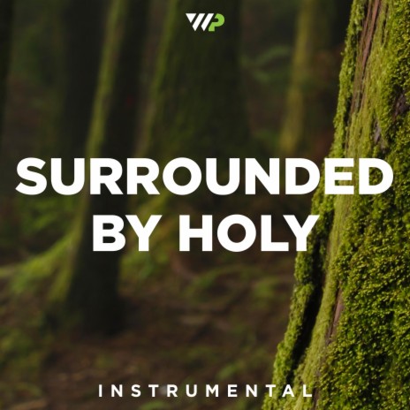 Surrounded By Holy (Instrumental) | Boomplay Music