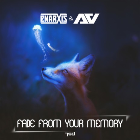 Fade From Your Memory (Original Mix) ft. Anty