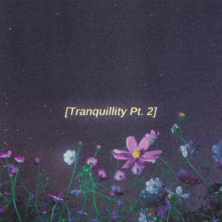 Tranquillity, Pt. 2