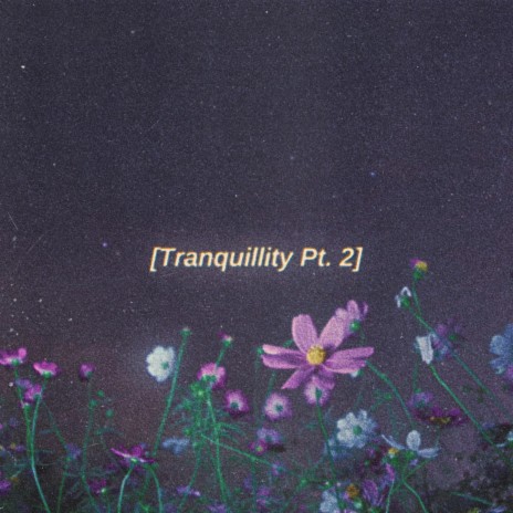 Tranquillity, Pt. 2 | Boomplay Music