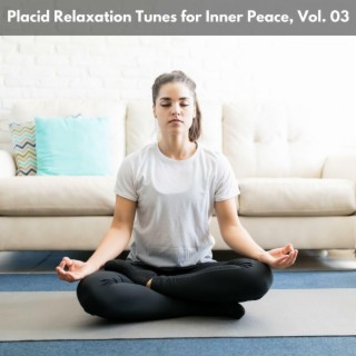 Placid Relaxation Tunes for Inner Peace, Vol. 03