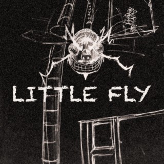 Little Fly