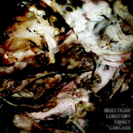 Turkey Carcass | Boomplay Music