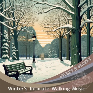 Winter's Intimate Walking Music