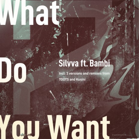 What Do You Want (Afro Mix) ft. Bambi | Boomplay Music