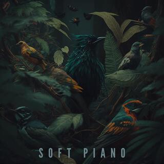 Soft Piano