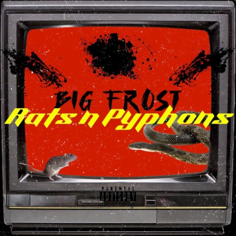 Rats n pyphons