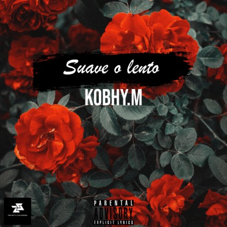 Suave y Lento | Boomplay Music