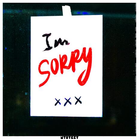 I'm Sorry | Boomplay Music