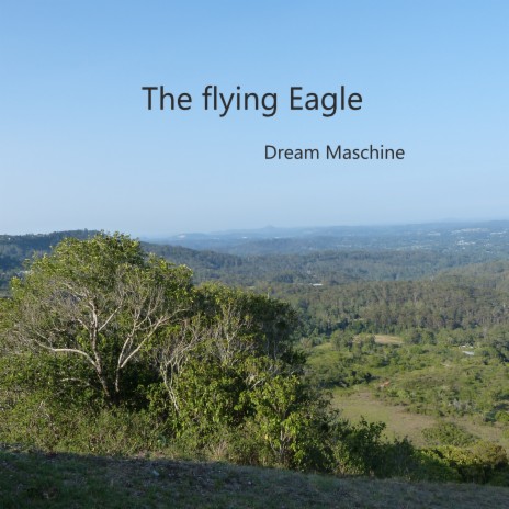 Flying Eagle | Boomplay Music