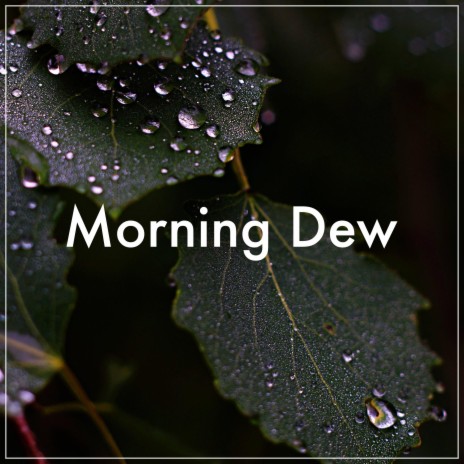 Morning Dew | Boomplay Music