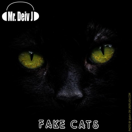 FAKE CATS