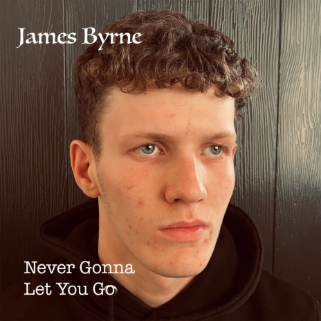 Never Gonna Let You Go | Boomplay Music