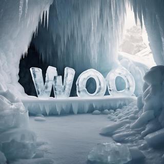 Woo ft. Buck'Gino lyrics | Boomplay Music