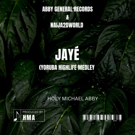 Jayé (Yoruba Highlife Medley) | Boomplay Music