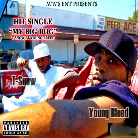 My Big Dog ft. Young Bleed | Boomplay Music