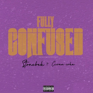 Fully confused lyrics | Boomplay Music