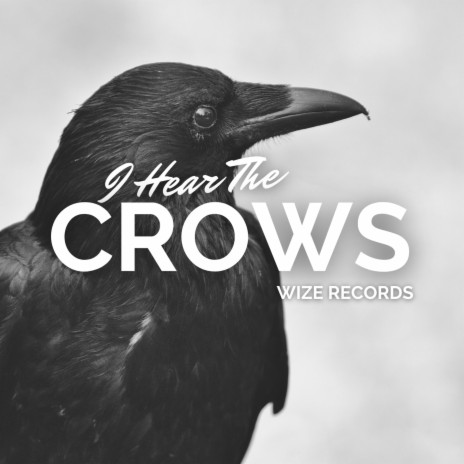 I Hear The Crows | Boomplay Music