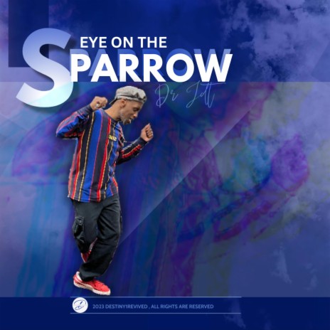 Eye on The Sparrow | Boomplay Music