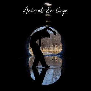 Animal en cage