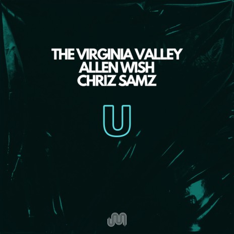 U (Extended Mix) ft. The Virginia Valley & Allen Wish | Boomplay Music
