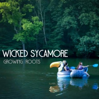Wicked Sycamore