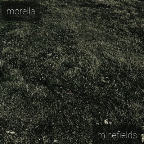 Minefields | Boomplay Music