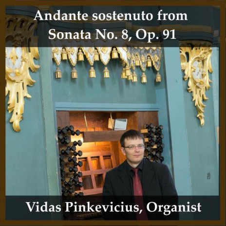 Andante sostenuto from Sonata No. 8, Op. 91 | Boomplay Music