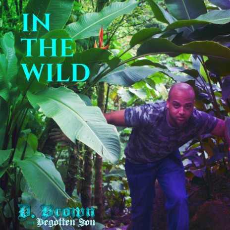 In the Wild | Boomplay Music