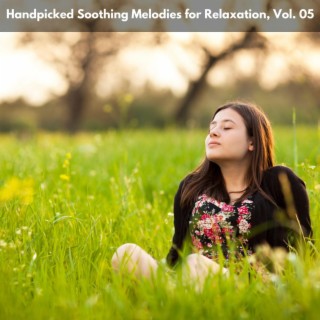 Handpicked Soothing Melodies for Relaxation, Vol. 05