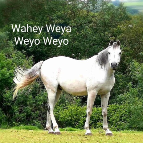 Wahey Weya Weyo Weyo | Boomplay Music