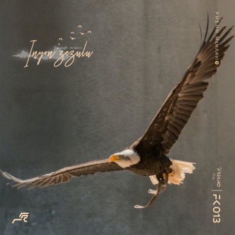 Inyon'zezulu (The eagle scream) (Original Mix)