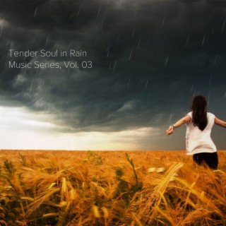 Tender Soul in Rain Music Series, Vol. 03