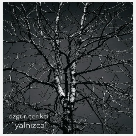 yalnızca | Boomplay Music