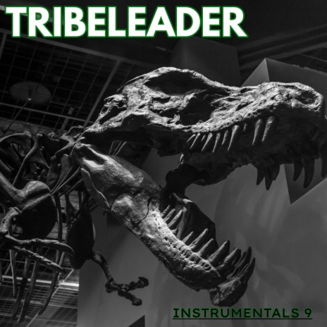 DRILL THUNDER (Instrumental) | Boomplay Music