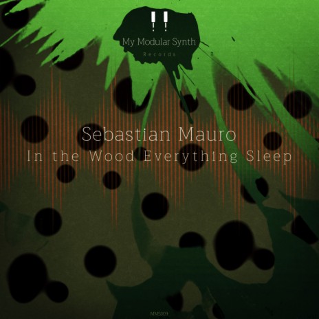In the Wood Everything Sleep (Original Mix)
