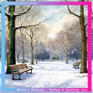 Winter's Walkway-Bathed in Soothing Jazz