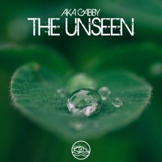 The Unseen