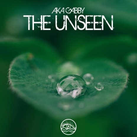 The Unseen | Boomplay Music