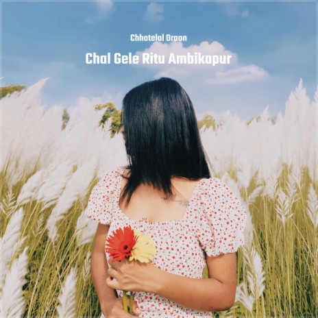 Chal Gele Ritu Ambikapur | Boomplay Music