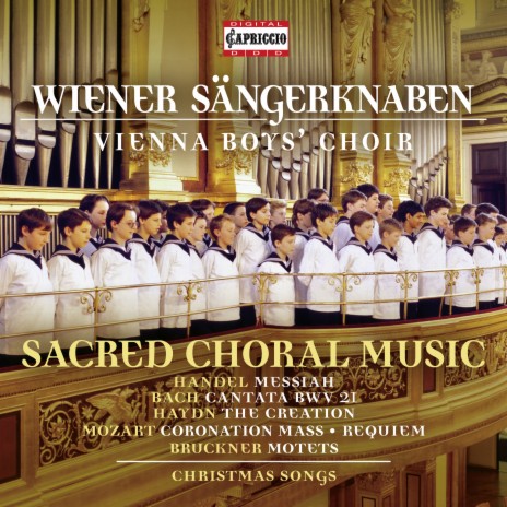 Mass in C Major, K. 317 Coronation Mass: V. Benedictus ft. Peter Marschik | Boomplay Music