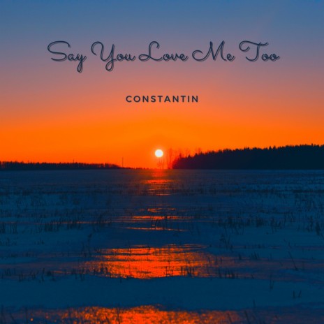 Say You Love Me Too | Boomplay Music