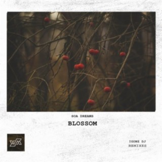 Blossom