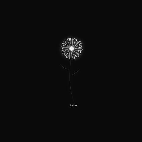 Asters (Original) | Boomplay Music