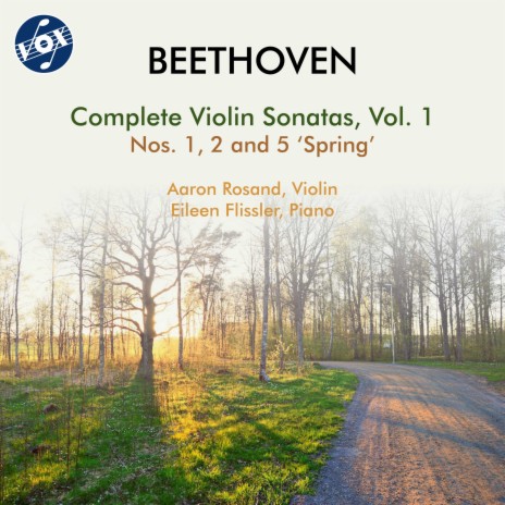 Violin Sonata No. 1 in D Major, Op. 12 No. 1: III. Rondo. Allegro (1995 Remaster) ft. Eileen Flissler | Boomplay Music