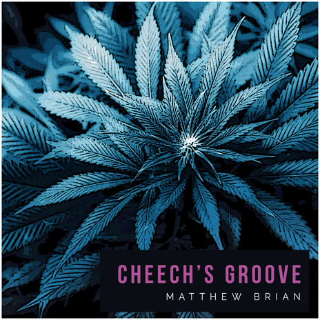 Cheech's Groove | Boomplay Music