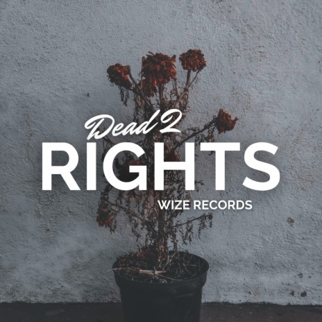 Dead 2 Rights | Boomplay Music