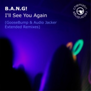I'll See You Again (Goosebump & Audio Jacker Extended Remixes)
